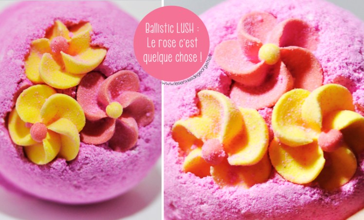 LeRoseCestQuelqueChose2