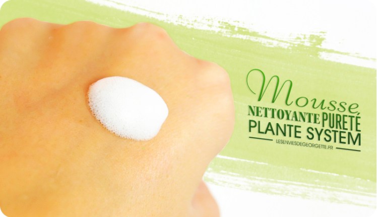 moussenettoyante2