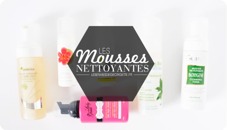 Moussenettoyante2