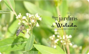 WELEDAjardins9e