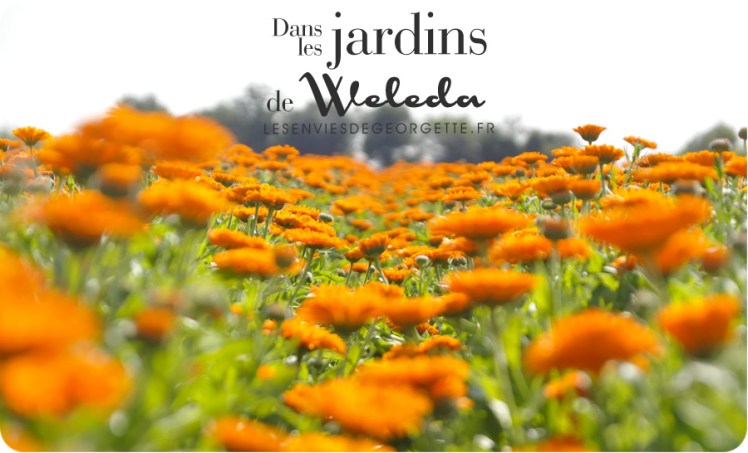 WELEDAjardins9h