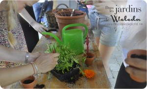 WELEDAjardins9n