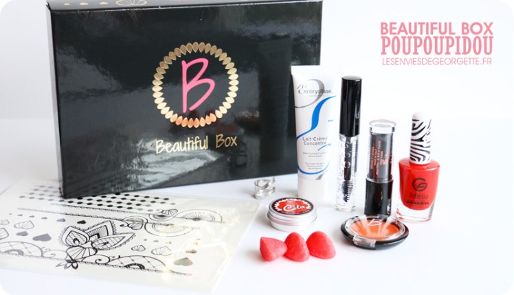 Beautifulboxpoupoupidou2